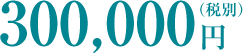 300,000円（税別）